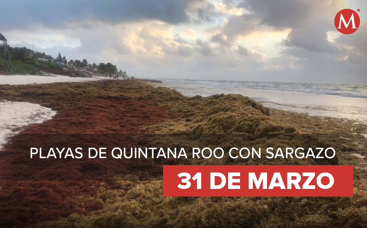 Playas con sargazo: 31 de marzo. | Notivox Diseño