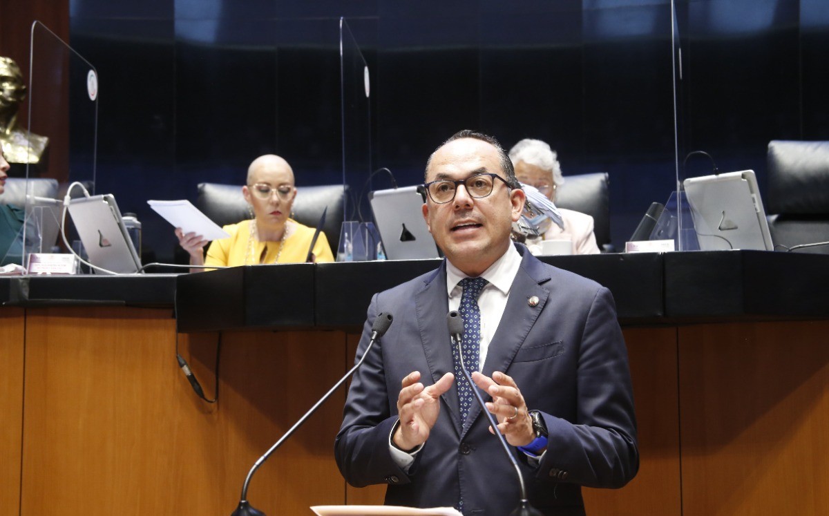 Senador por Guanajuato, Erandi Bermúdez / Foto: Especial