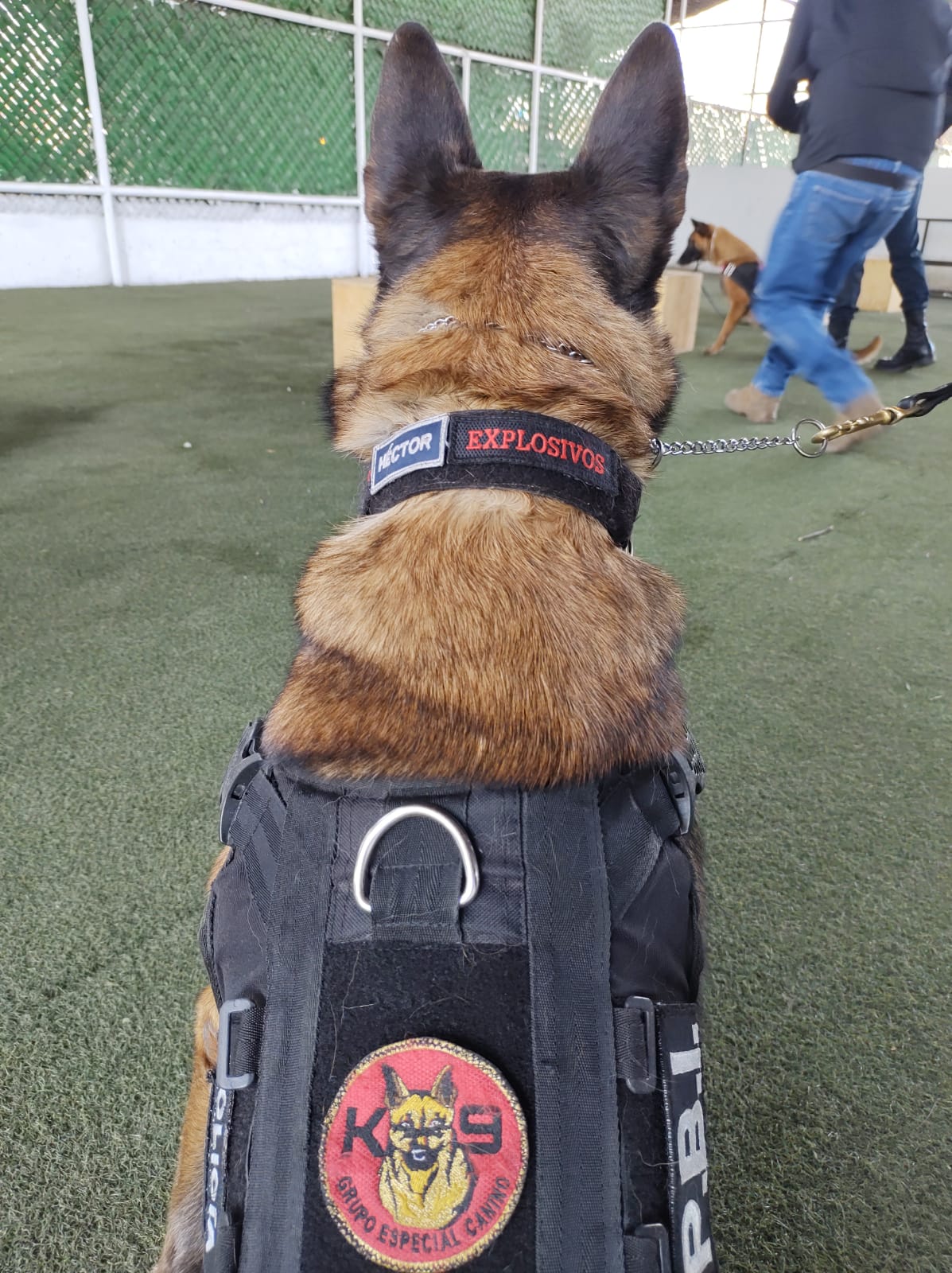 Cada canino tiene una labor diferente. (Miguel Sarmiento)