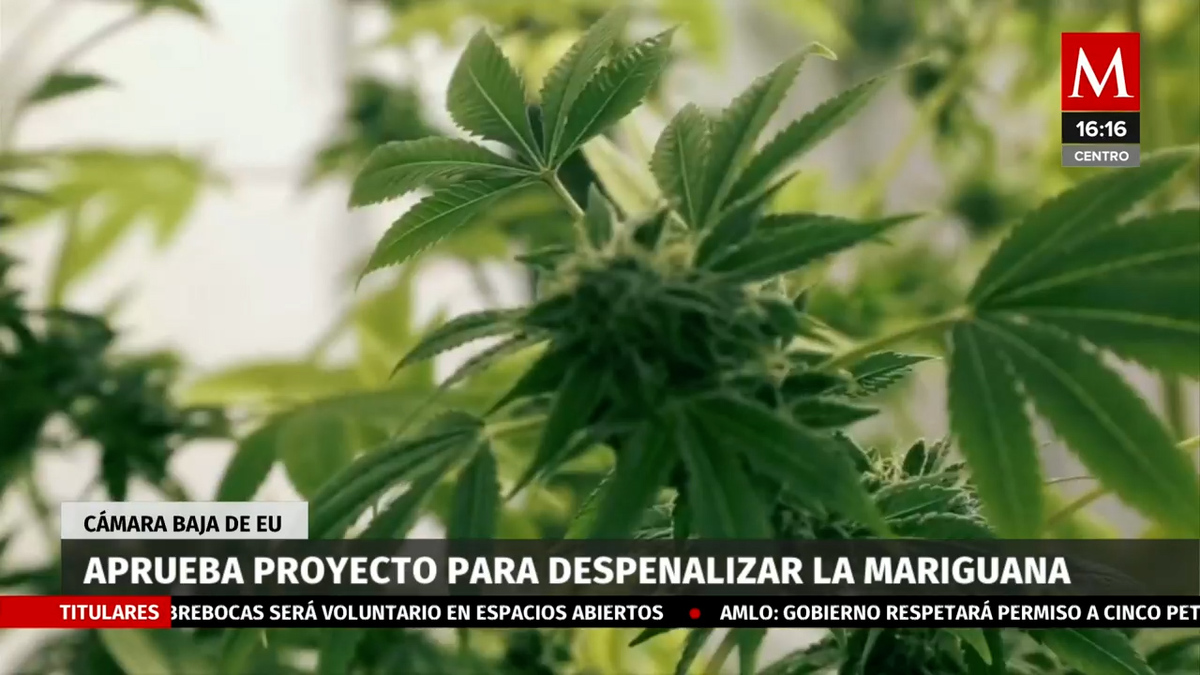 Cámara Baja de EU aprueba proyecto para despenalizar la mariguana