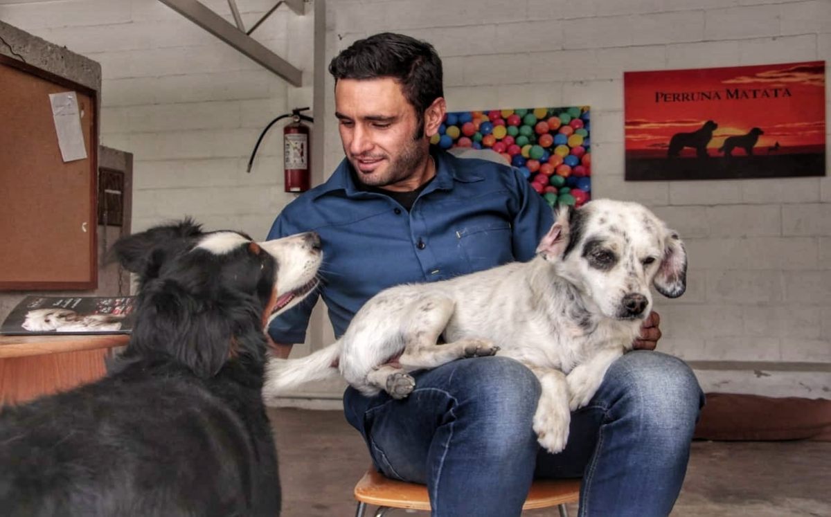 Juan Pablo Fernández, Protector De Animales Y Pasante De Médico Zootecnista | Melanie Torres