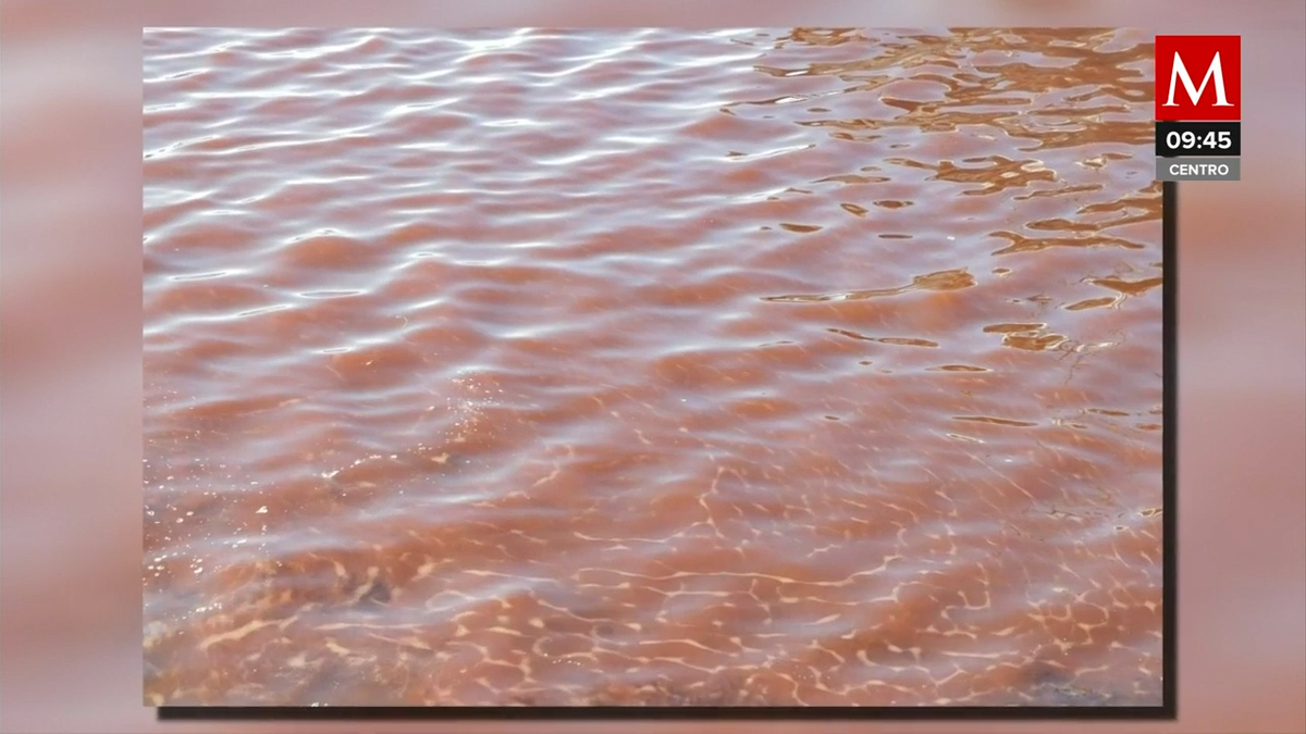 Detectan marea roja tóxica en Manzanillo; piden a la población