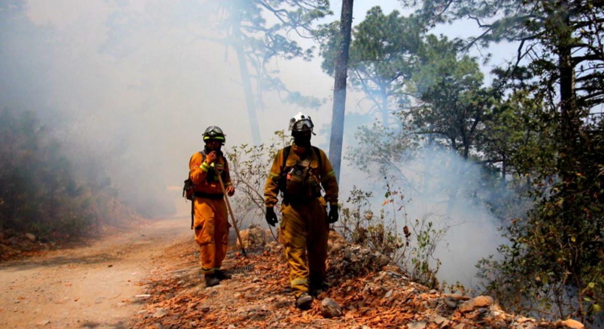 Controlan incendio en sierra de Santiago hasta un 95 por ciento. Foto: Protección Civil