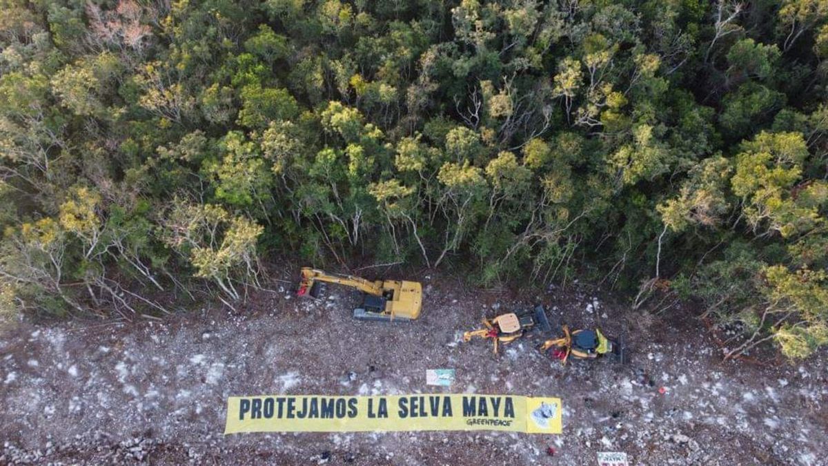 Quintana Roo evaluará sus proyectos ambientales
