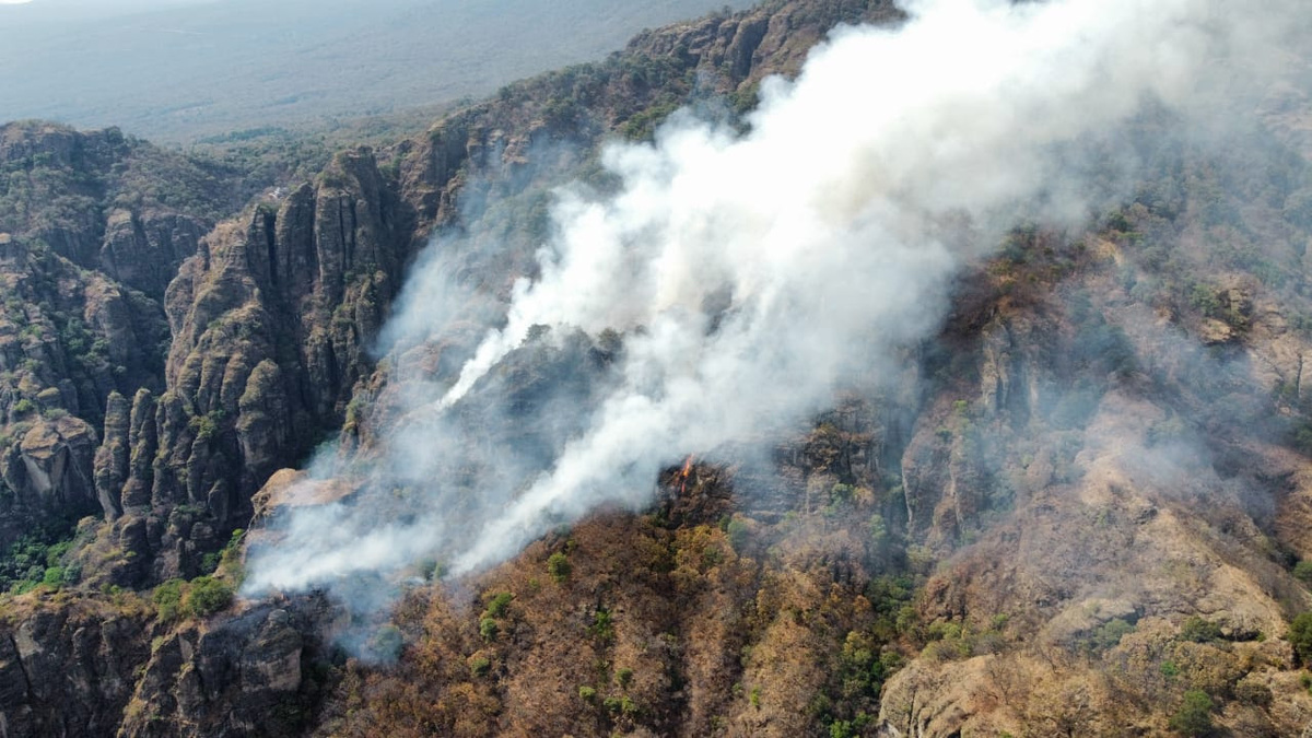 El incendio fue controlado por brigadistas. (David Monroy)
