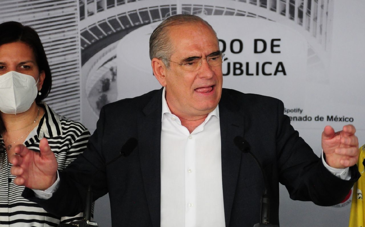 Legisladores del PAN ofrecieron una conferencia de prensa desde el Senado. | Cuartoscuro