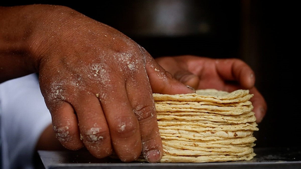 ¡Por los cielos! Tortilla se vende hasta en 26 pesos por kilo en algunas ciudades de México