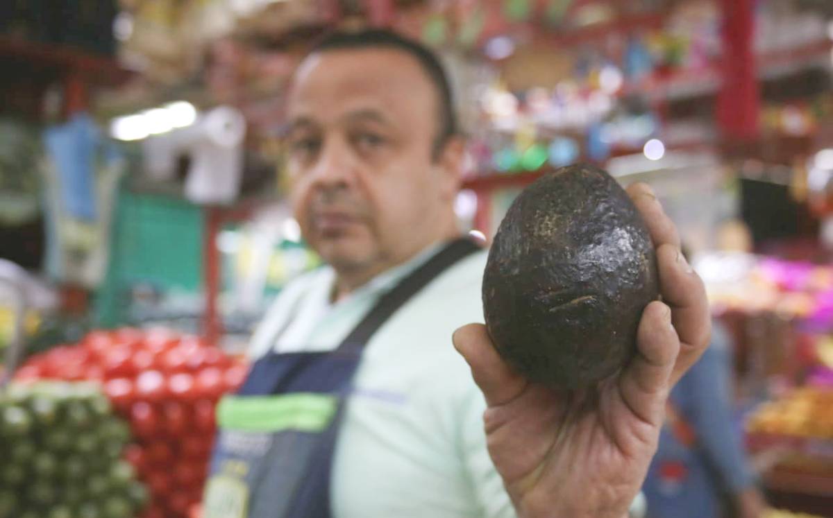 Comerciantes aseguran que el aguacate ha tenido una gran demanda por cuaresma. Dany Béjar.-