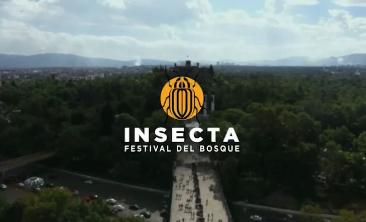 Insecta estará presente en ocho sedes del bosque