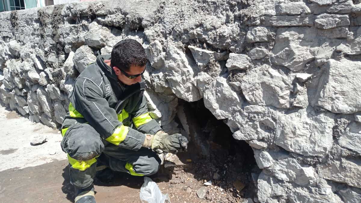 Bomberos de Torreón lograron rescatar a un perrito. (Notivox Digital)
