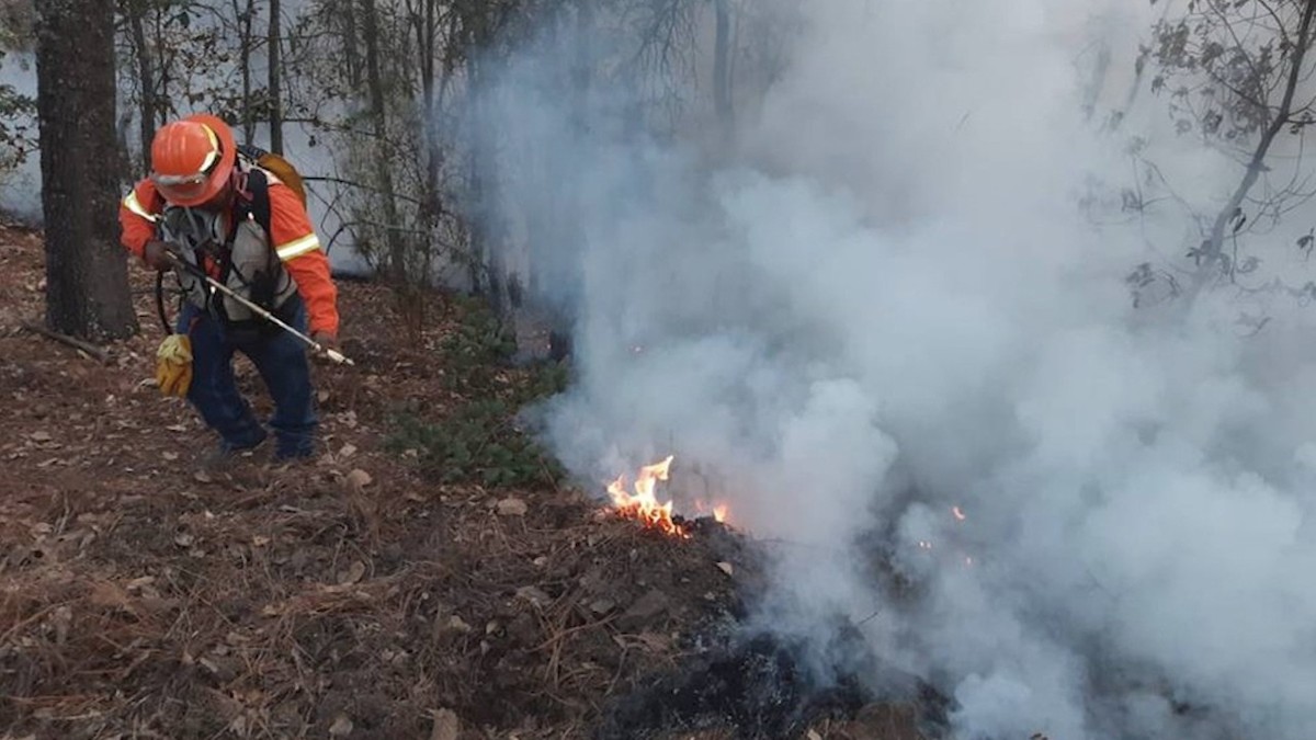 Conafor reporta 71 incendios forestales activos en el país