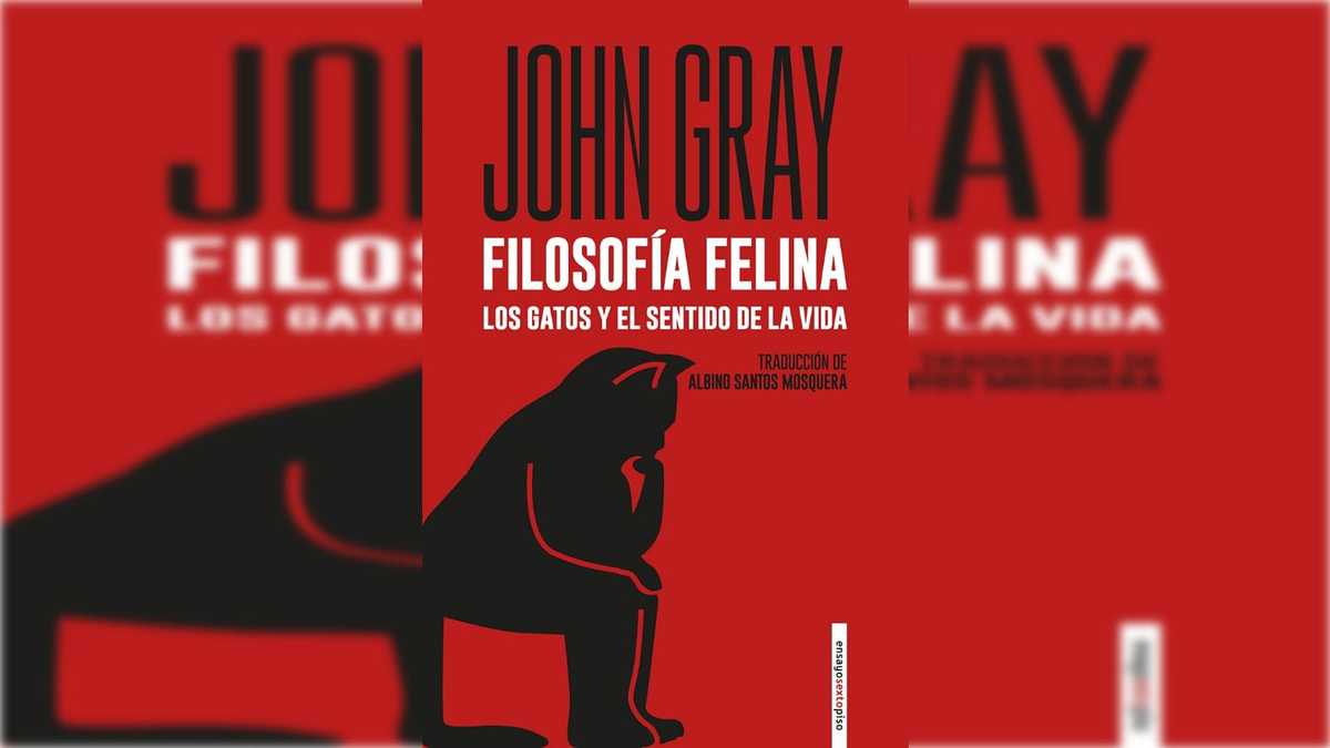 Gatos, john gray, filosofía felina. Foto: Especial