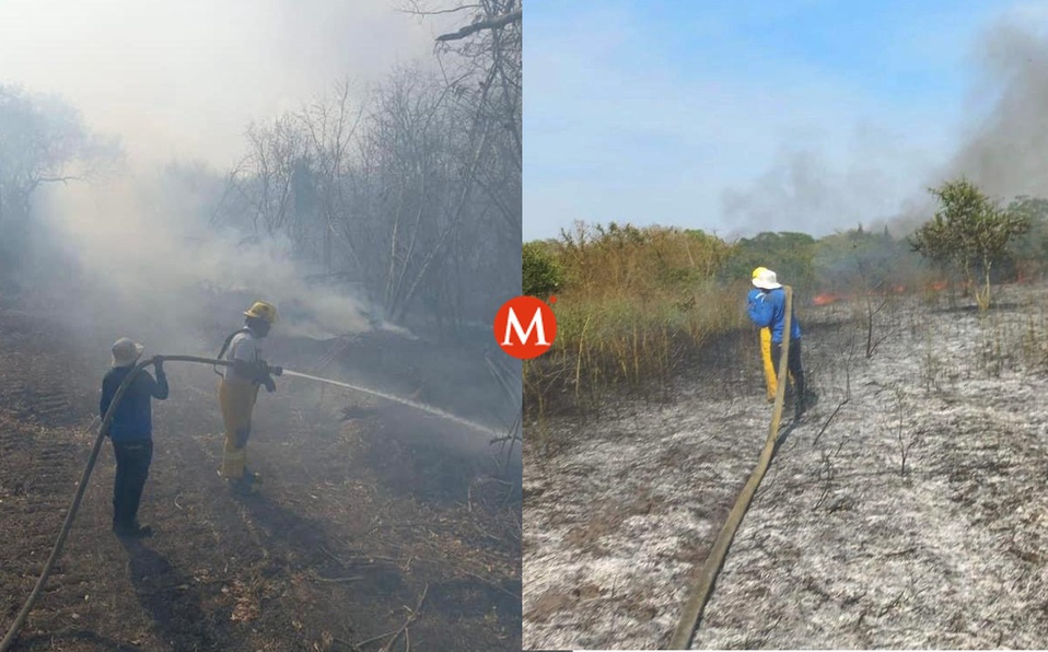 Se incendian 100 hectáreas de pastizales en Álamo Temapache y Papantla, Veracruz