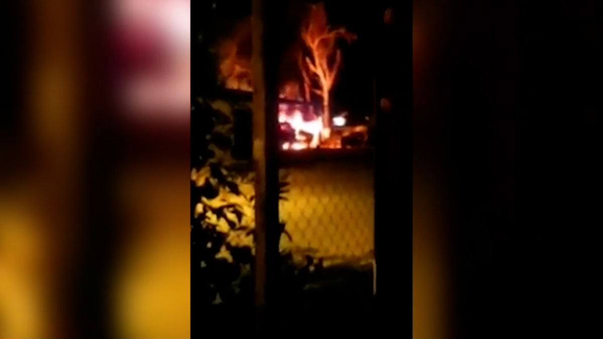 Se registró una balacera en San Ignacio, Río Muerto, Sonora