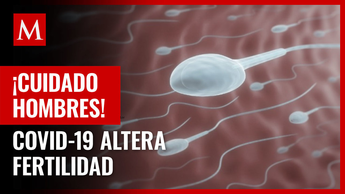 Covid altera niveles de proteínas de fertilidad en hombres: estudio