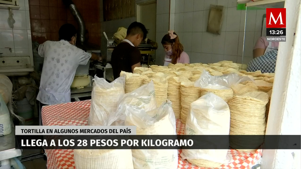 ¿Cuántos taquitos quieres? Tortilla se vende hasta en $28 por kilo