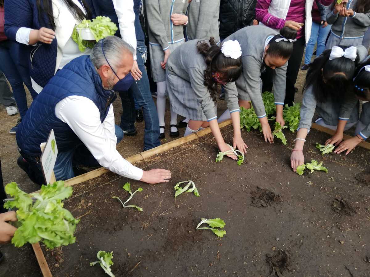 Huerto urbano en Pachuca. (Elizabeth Hernández)
