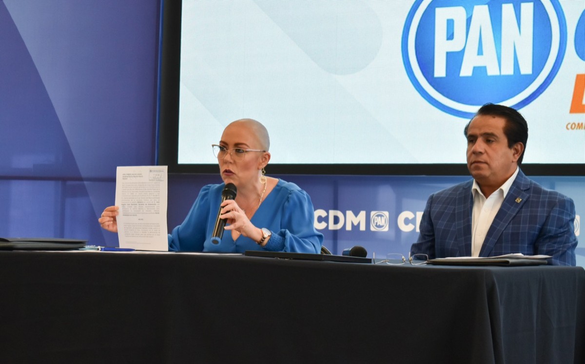 Senadores del PAN presentaron dos denuncias en total / Foto: Especial