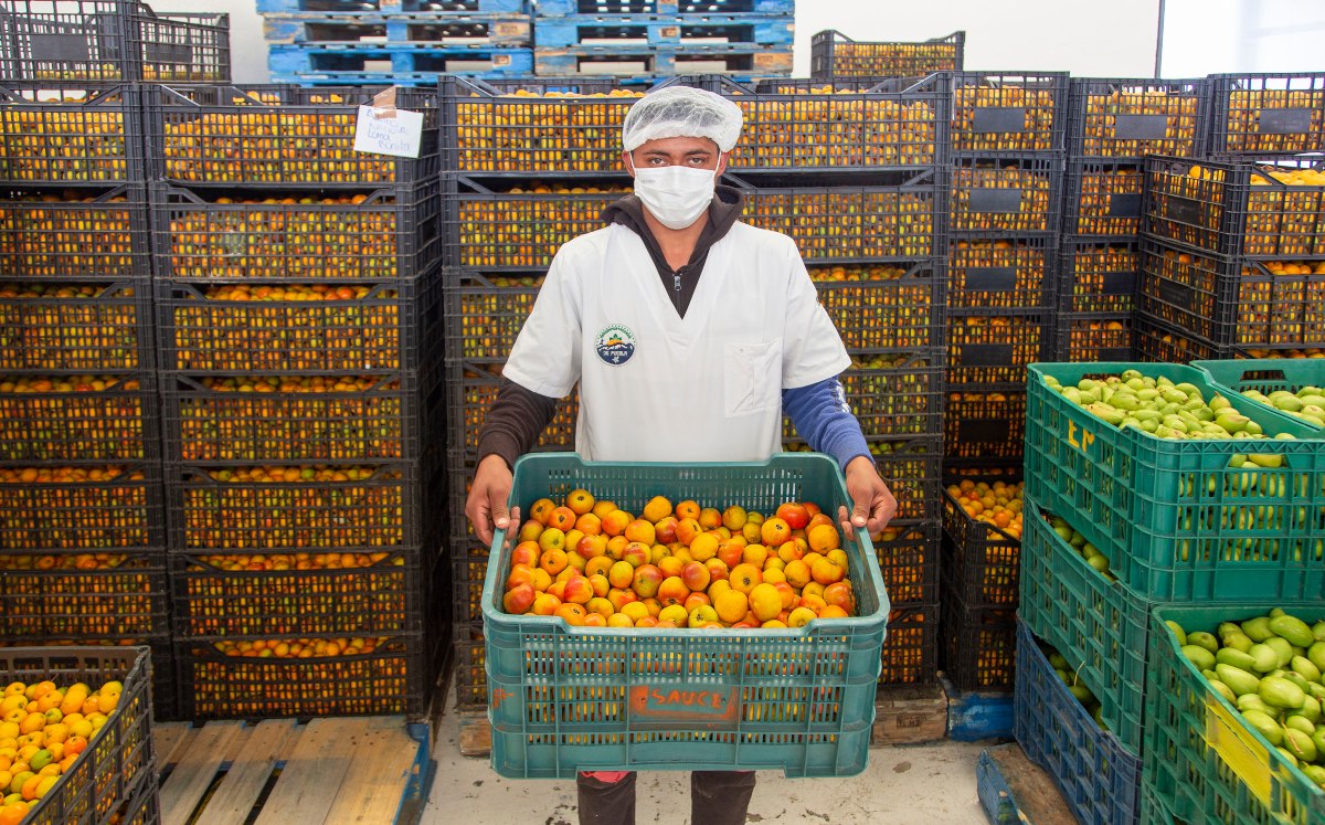 Agroexportación poblana rompe récord en Norteamérica | Andrés Lobato