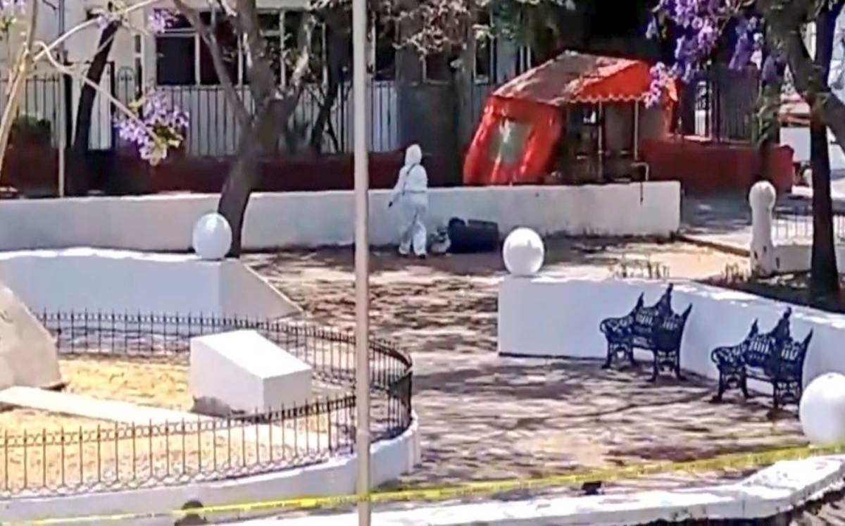 Dejan bolsa con restos humanos en parque Las Ninfas, en Puebla capital | Especial