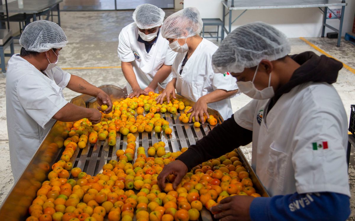 El valor de la exportación agropecuaria en Puebla creció | Andrés Lobato