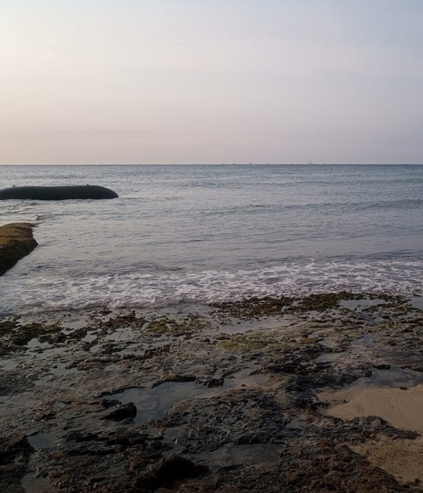 Playas con sargazo en Quintana Roo.