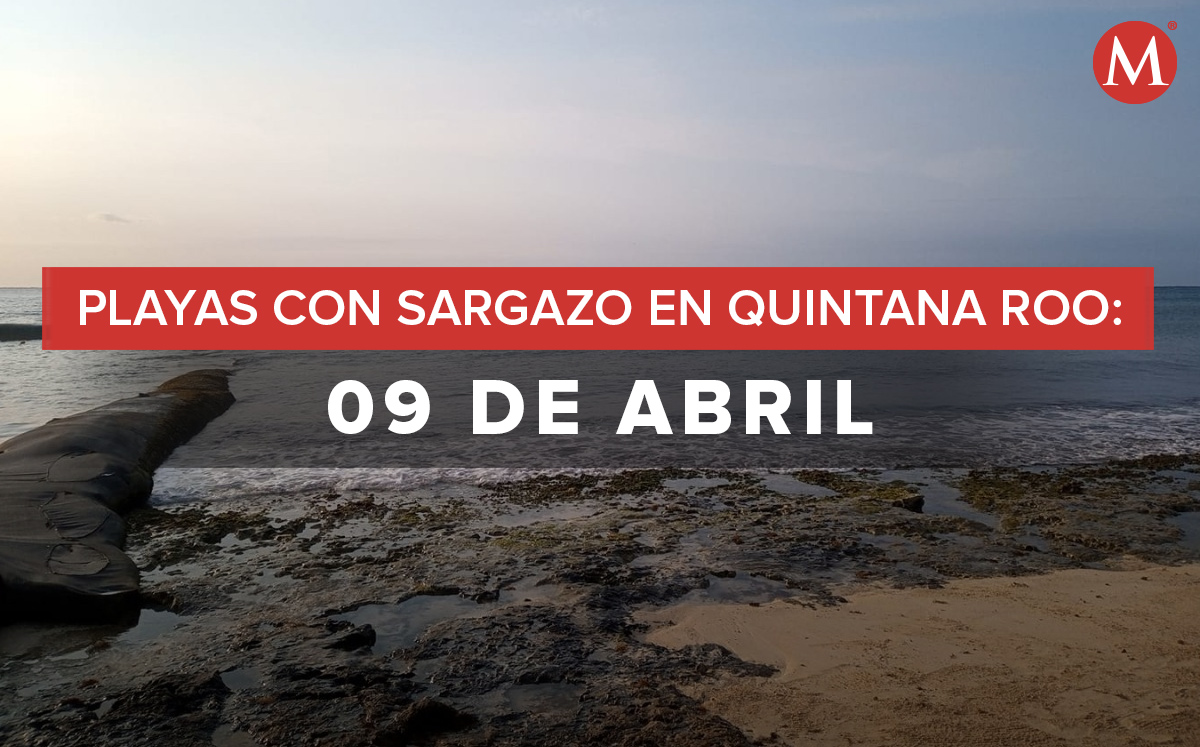 Playas con sargazo en Quintana Roo.  | Milenio Diseño