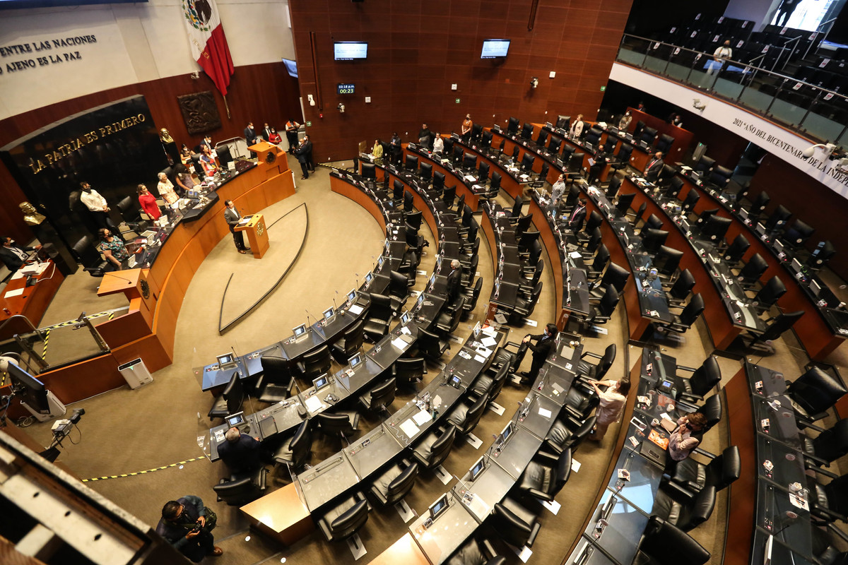 Senado de la República. (Octavio Hoyos)