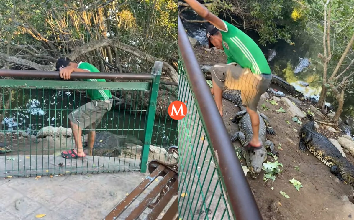 Hombre golpea a cocodrilos en Tampico