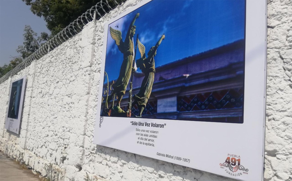 Exposición “Bajo sus Alas” | Abigail García