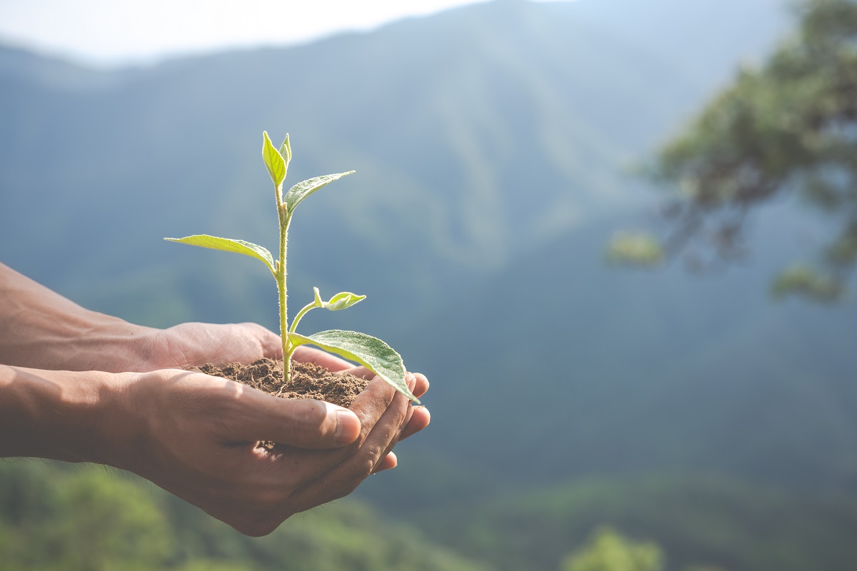 Enseñarle a los niños que el cuidado del planeta es responsabilidad de todos es un gran paso en la lucha contra el cambio climático. (freepik.es)