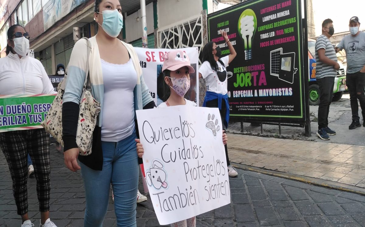 Prostestan agrupaciones protectoras contra maltrato animal en Tehuacán | Especial
