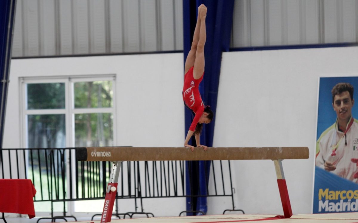 Aspectos de gimnasia | Agencia Enfoque