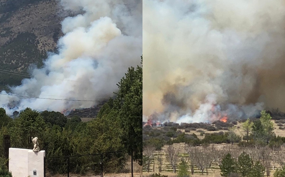 Reportan incendio forestal en Sierra de Arteaga, Coahuila
