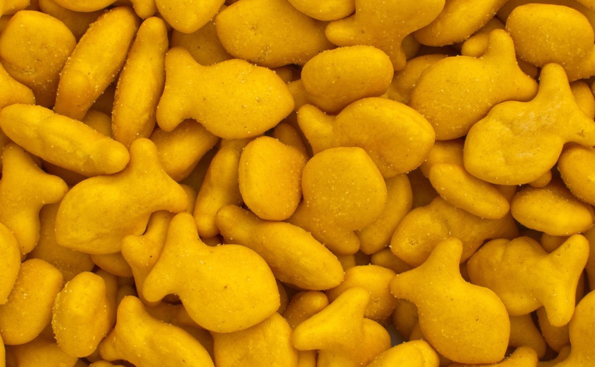 Las galletas con forma de pescado fueron halladas en la guardería. | Foto: WikimediaImages en Pixabay