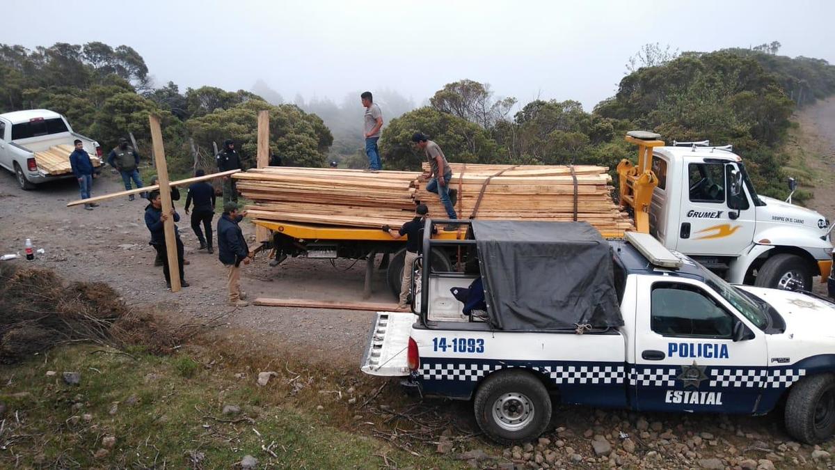 Las autoridades decomisaron la madera | Especial