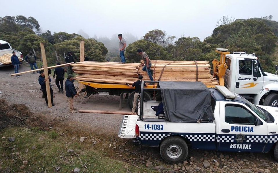 En Veracruz, aseguran 13 metros cúbicos de madera ilegal en Cofre de Perote