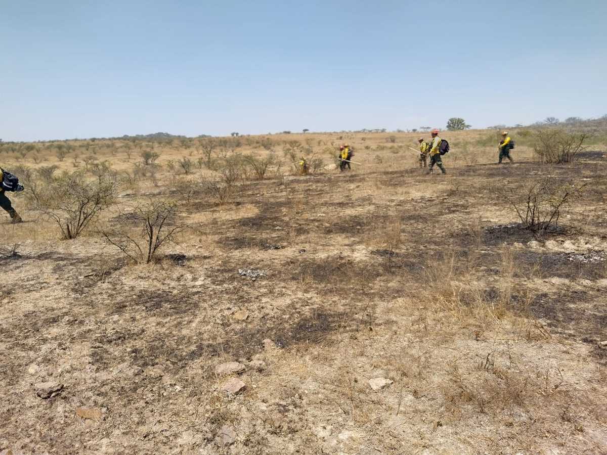Controlan incendio en Los Charcos (Juan Carlos Munguía)