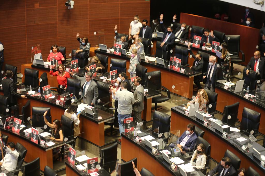 La votación se dividió dentro del Senado. (Jorge Carballo)