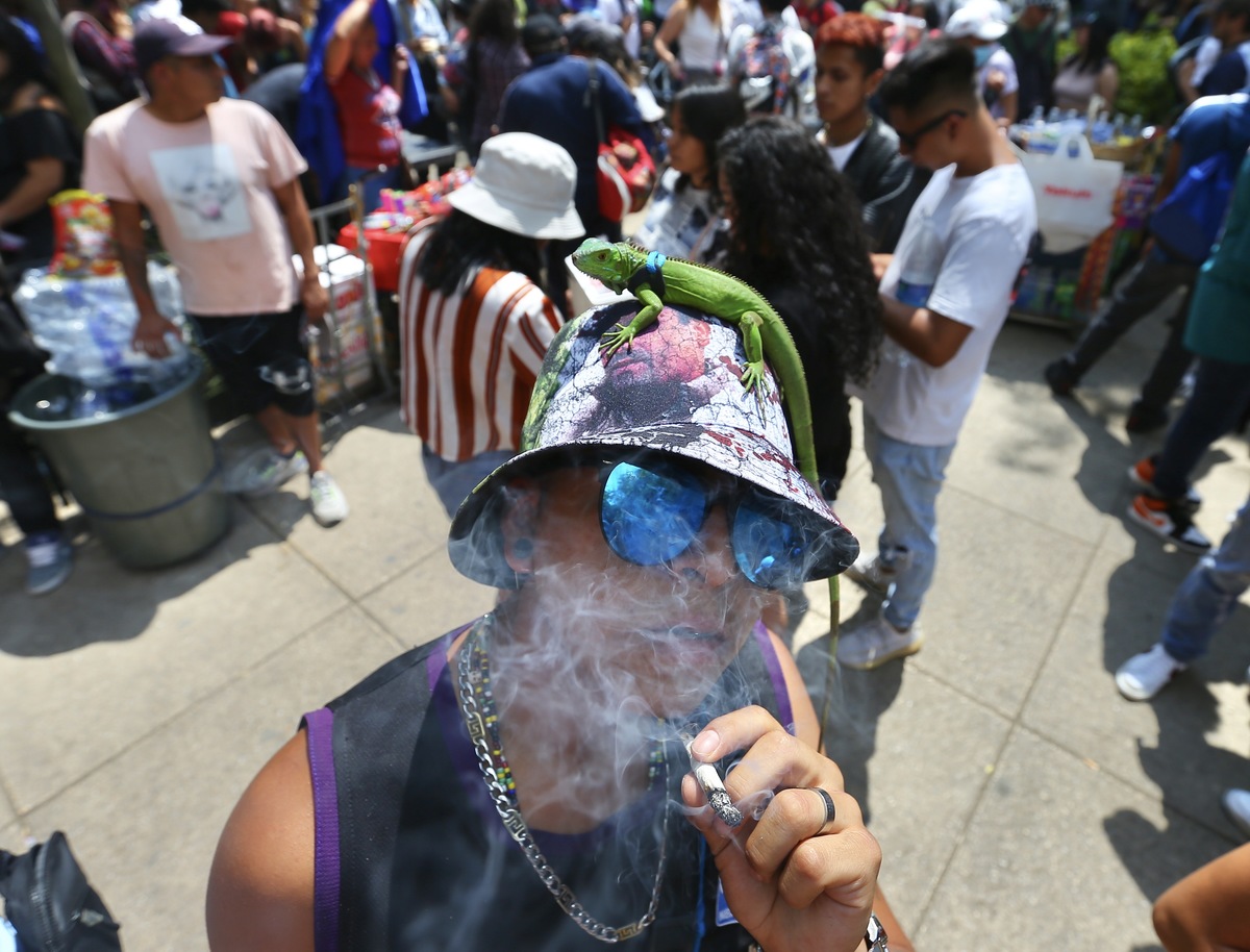 La marihuana es probablemente la droga ilegal o despenalizada más consumida en el mundo. (Ariel Ojeda)