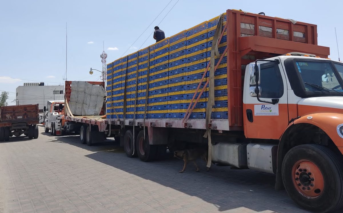 Transportistas reportan inseguridad en región de Tehuacán | Especial