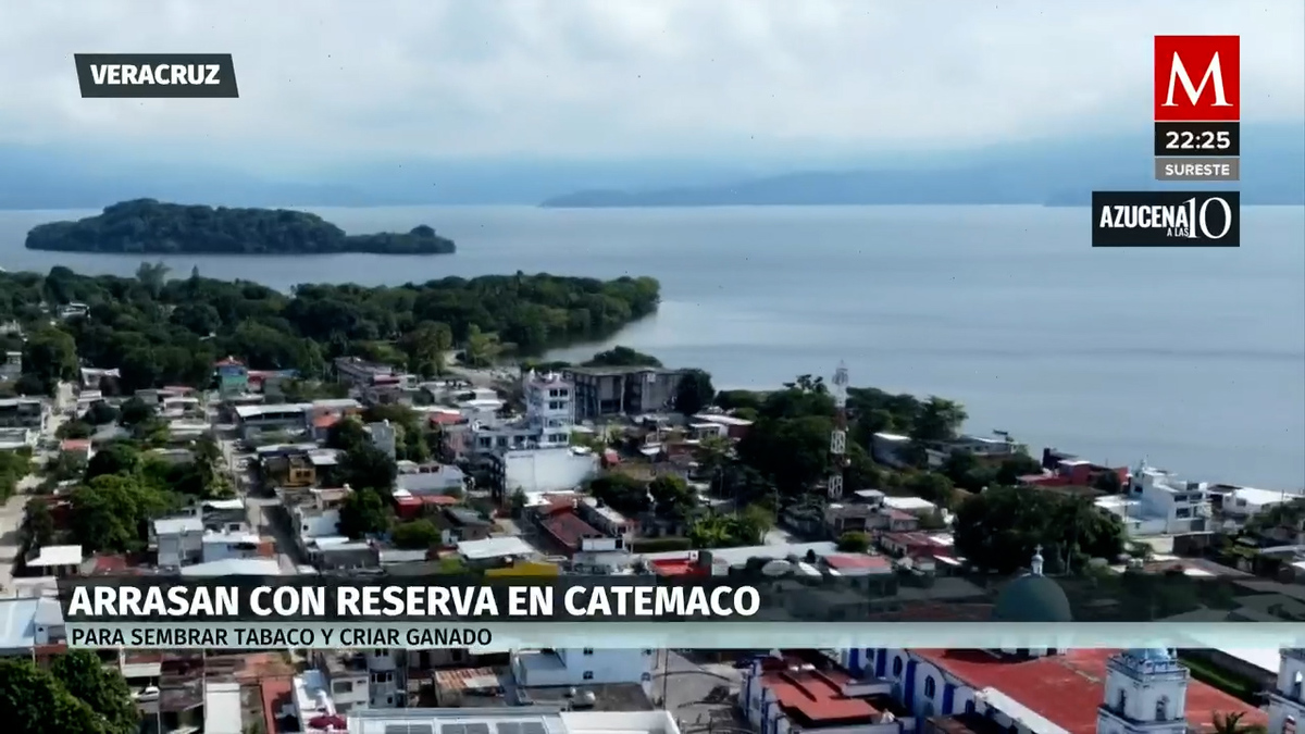 En Veracruz se registra un ecocidio en Catemaco