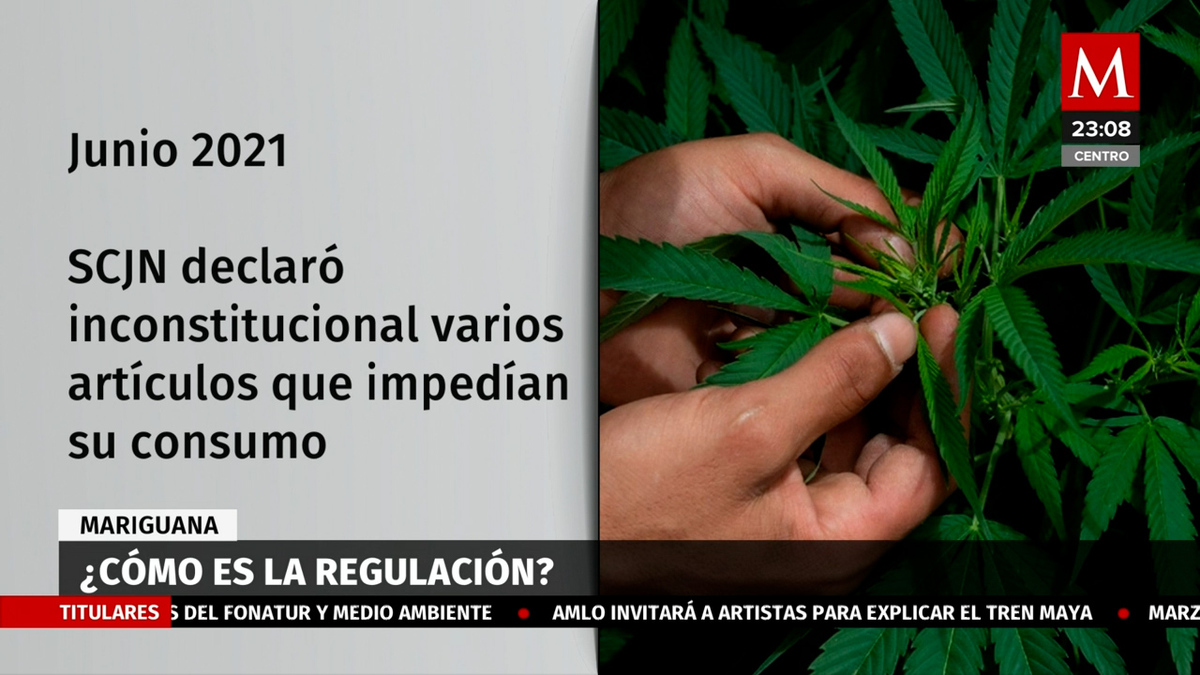 Mes de la legalización. ¿Cómo va México en la regulación de cannabis?