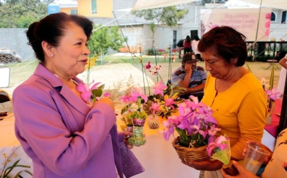 Productores de orquídeas en Tlaxcala prevén vender más de 5 mil ejemplares por el Día de las Madres | Especial