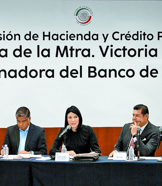 La gobernadora del banco central, en el Senado. Ariel Ojeda