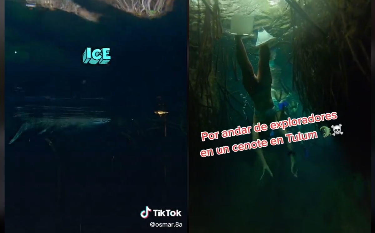 Turistas se toparon cocodrilo mientras nadaban en cenote de Tulum