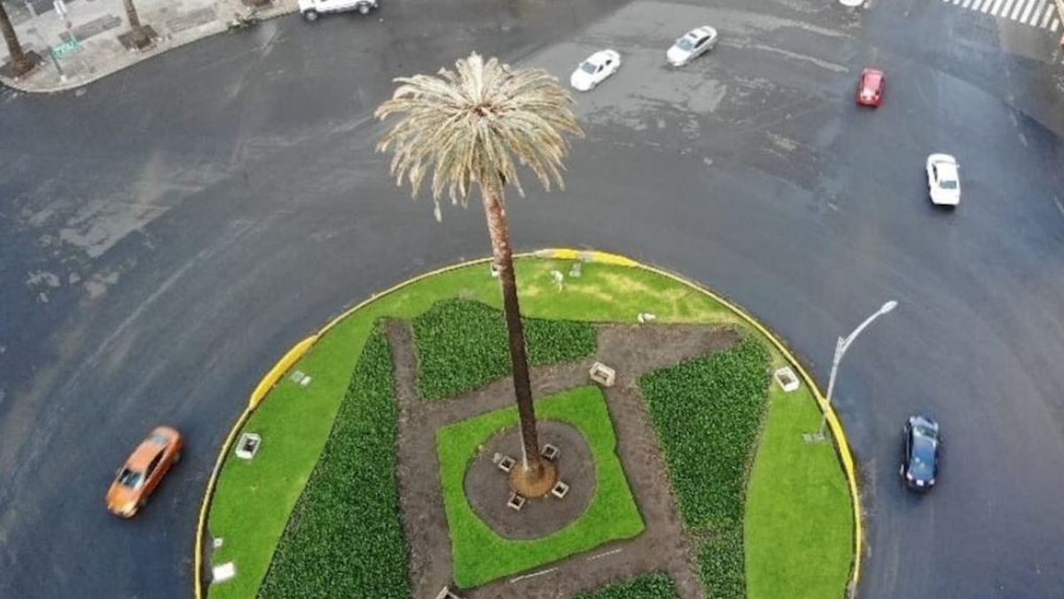 Capitalinos se toman selfies en glorieta de La Palma en CdMx