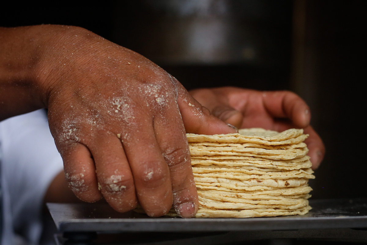 Los productores aseguran que Segalmex exporta el maíz a otros estados y encarece el grano. (Araceli López)