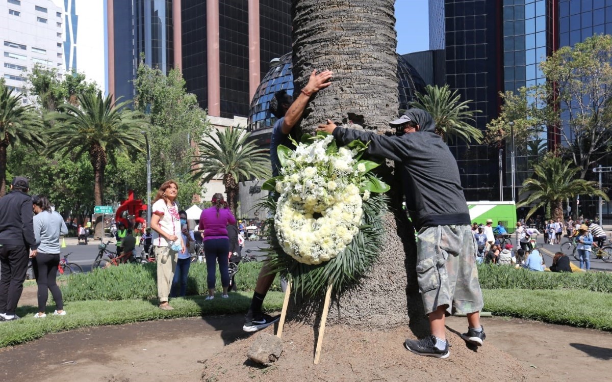 Capitalinos acudieron a despedirse de La Palma a pocas horas de su retiro. | Javier Ríos