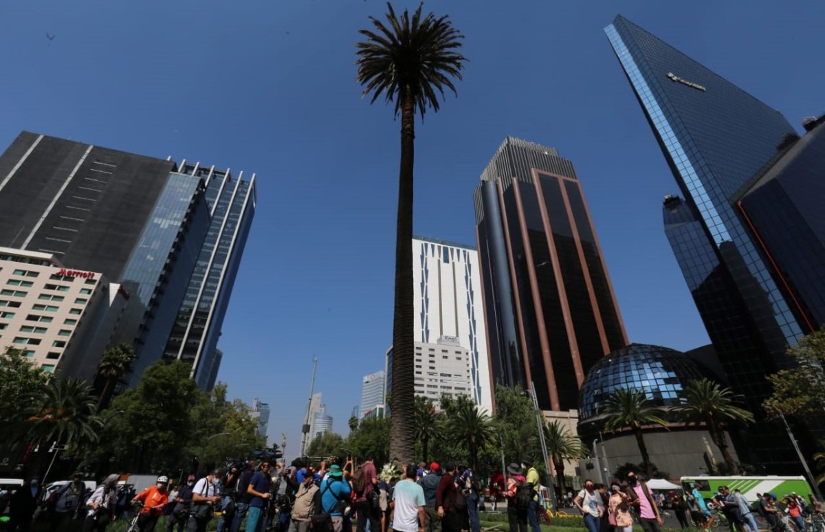 La Palma de Reforma será retirada esta noche. |  Javier Ríos